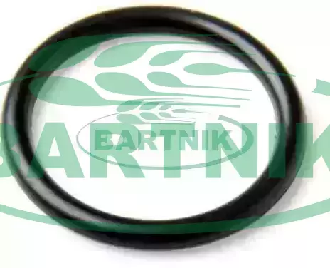 Oring 44.12x2.62 2