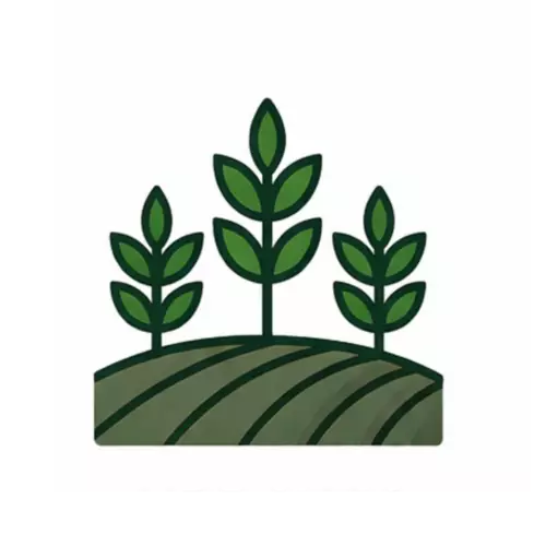 Uprawy standardowe