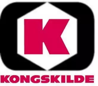 Kongskilde