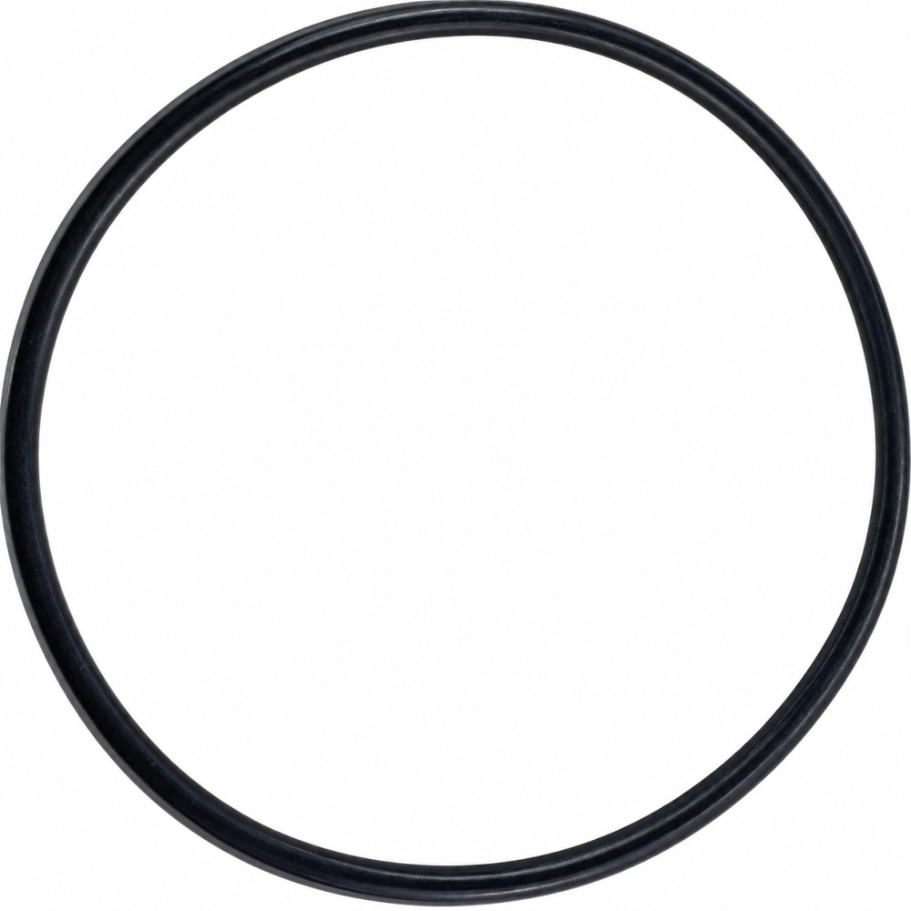 Oring do pompy 72.69x2.62 1