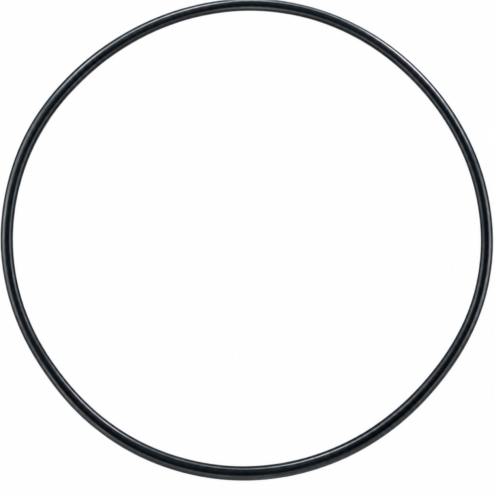 Oring 171.12x2.62 1