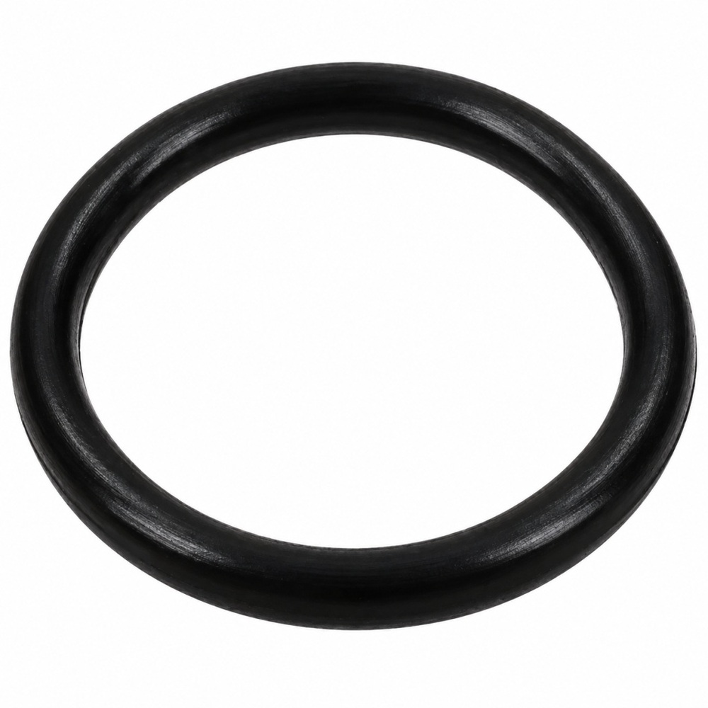 Oring 113.97x2.62 1