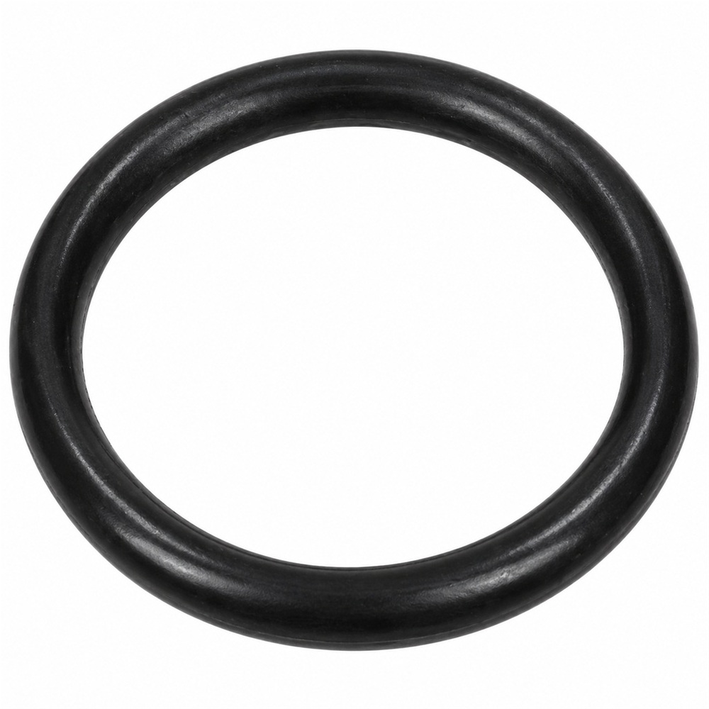 Oring zaworka 25.80x3.53 1