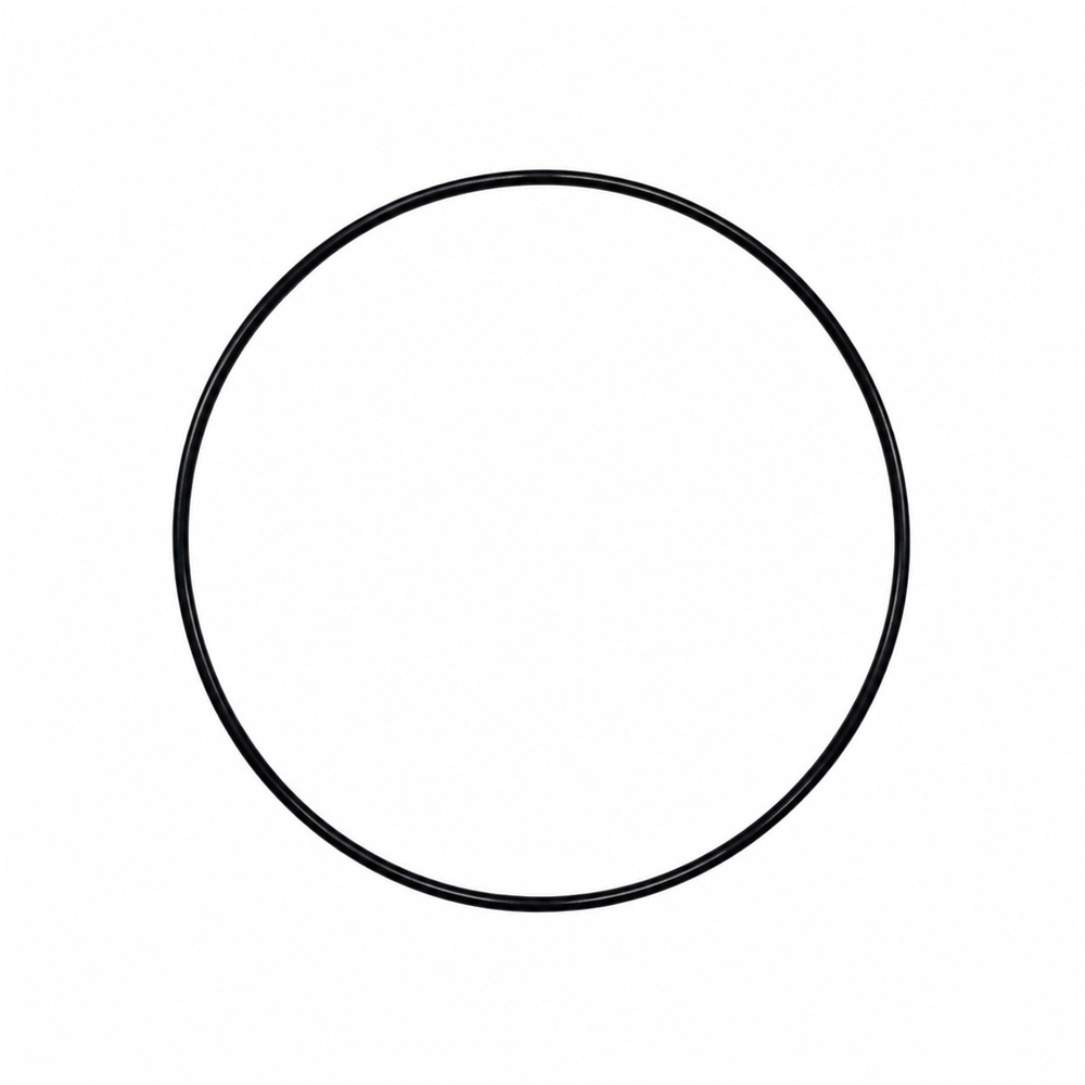 Oring 120.32x2 1