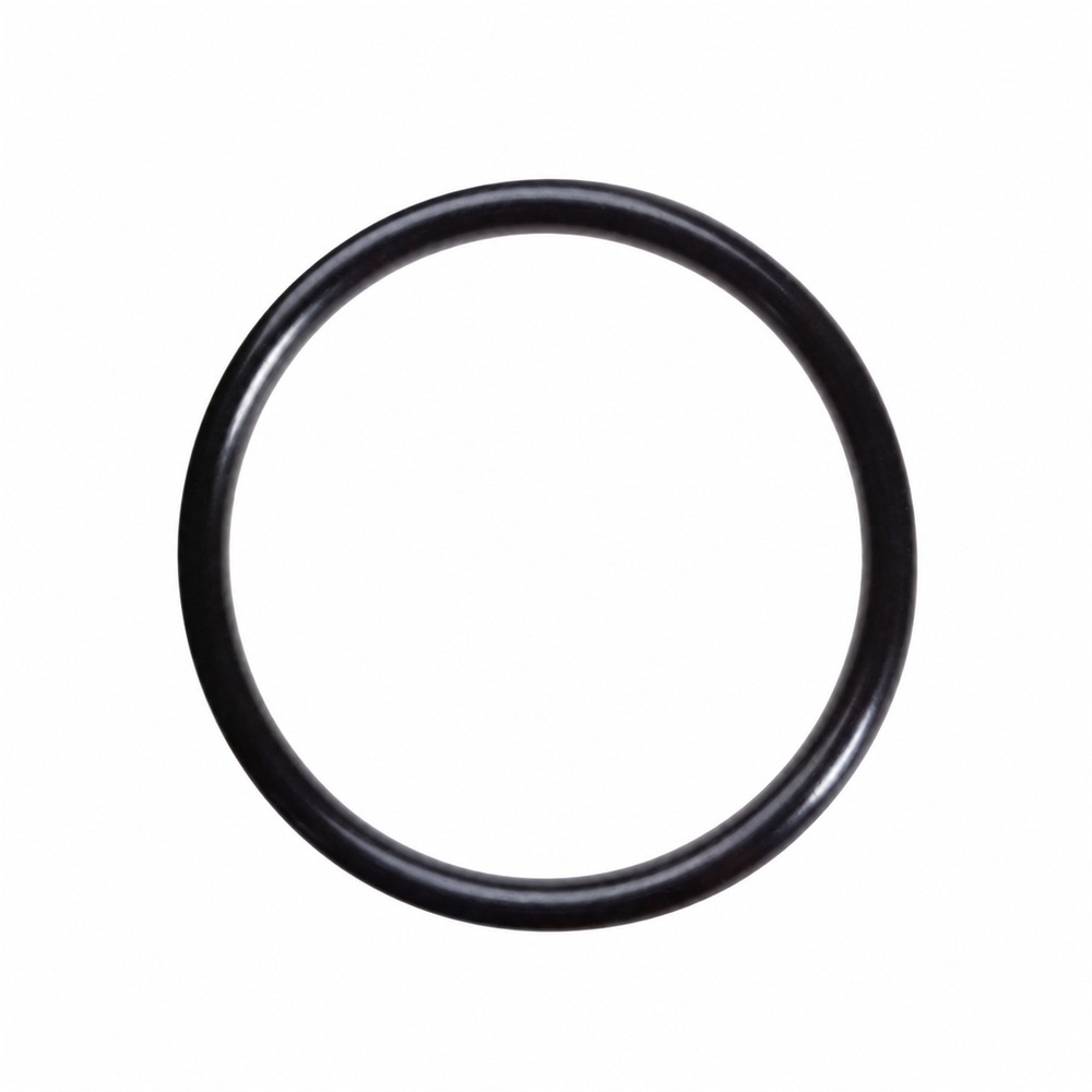 Oring D18 1
