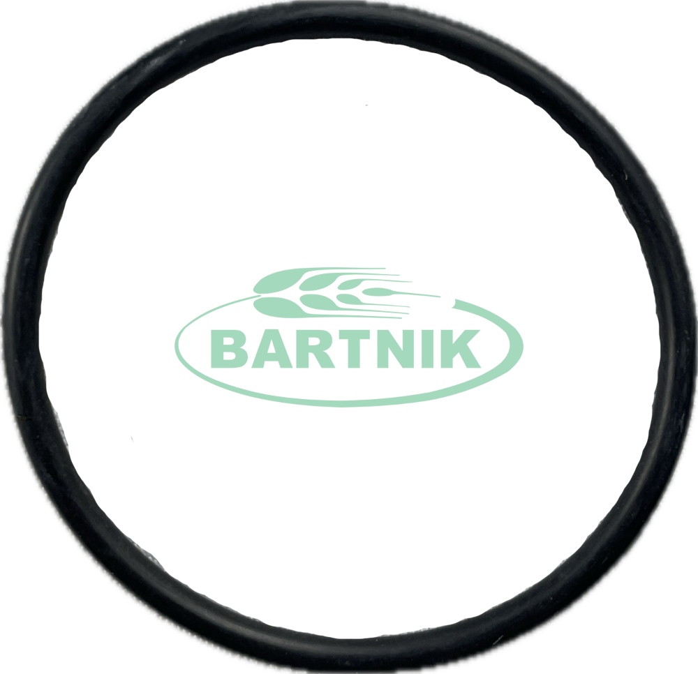 Oring odstojnika 1