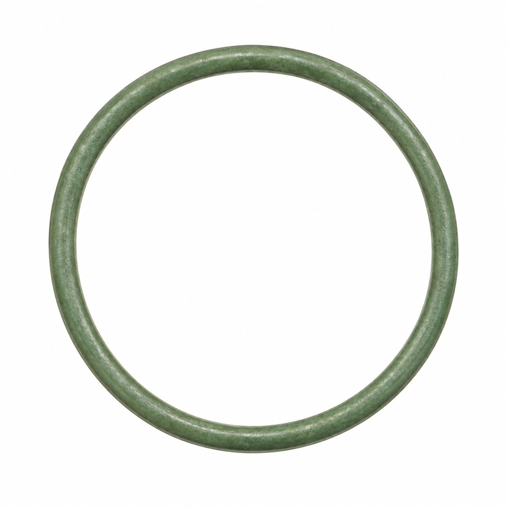 Oring 2.62x45.69x50 1