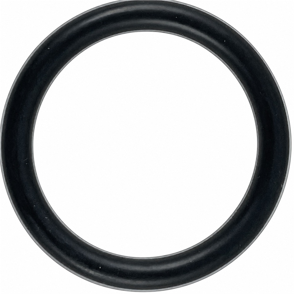 Oring zaworka AR 31.5x4.25 1