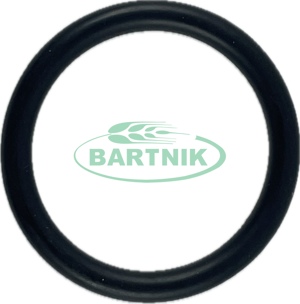 Oring zaworka AR 31.5x4.25 1
