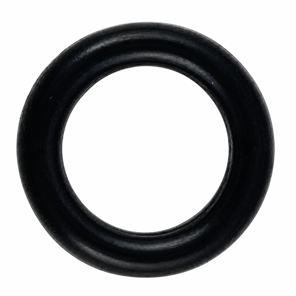Oring 6x2.5 1