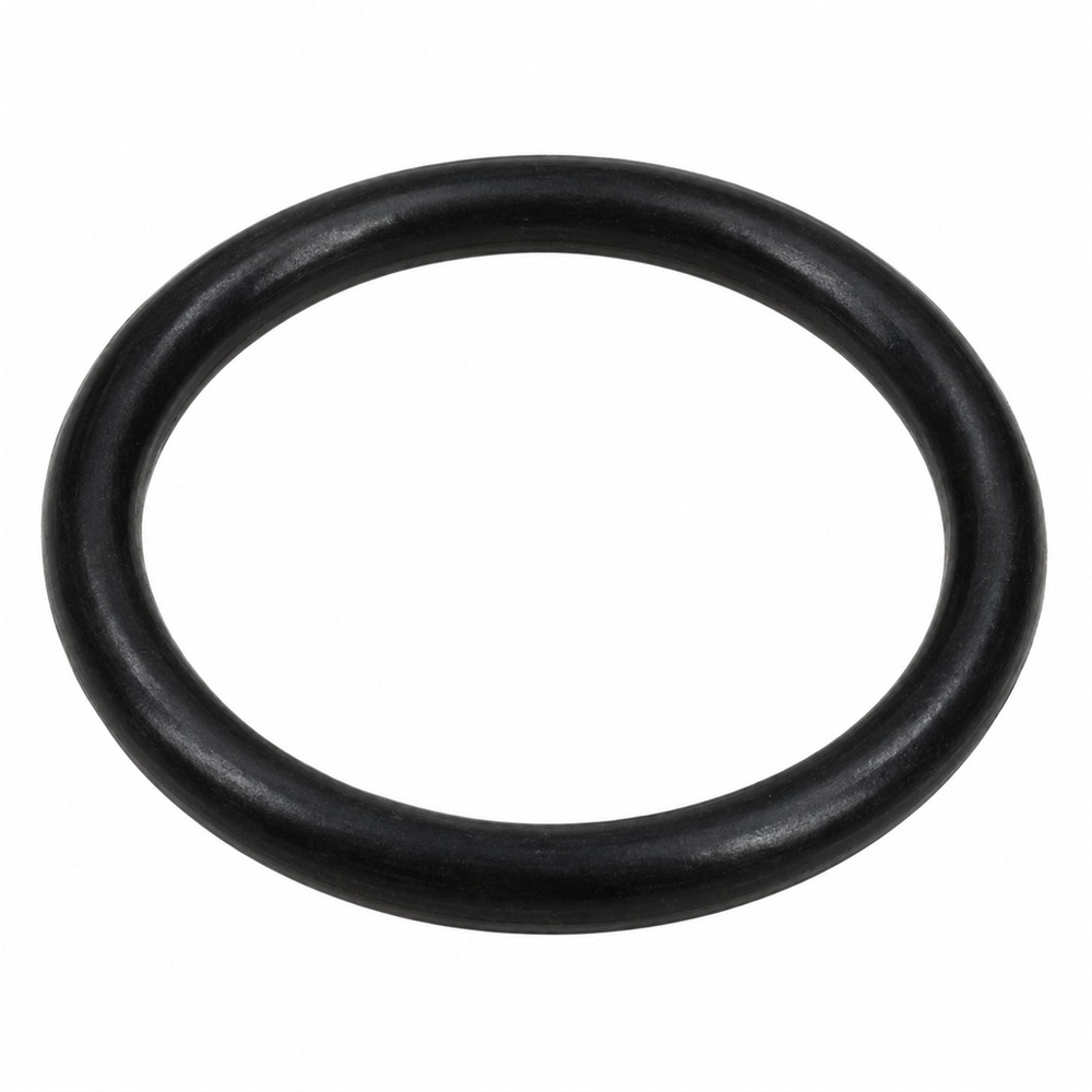 Oring 9.19x2.62 1