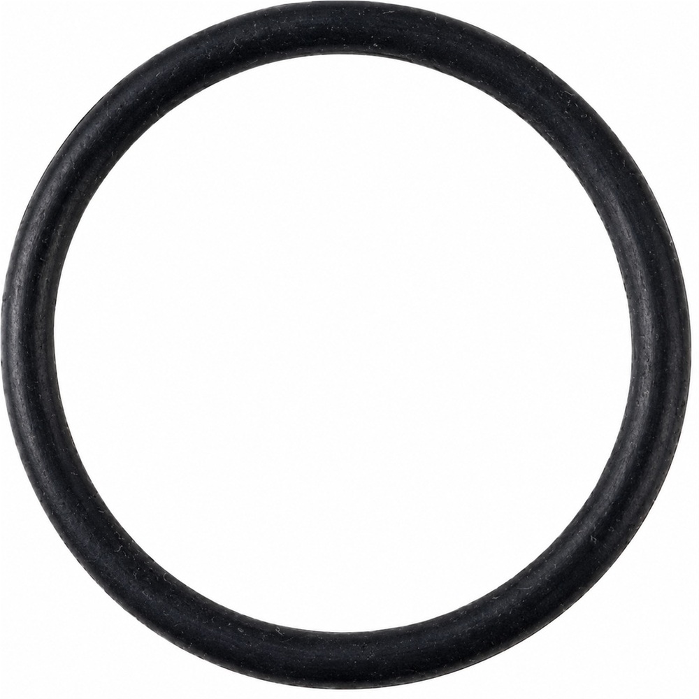 Oring 26.65x2.62 EPDM 1