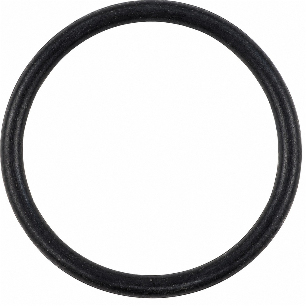 Oring 42.52x2.62 Tecomec 1