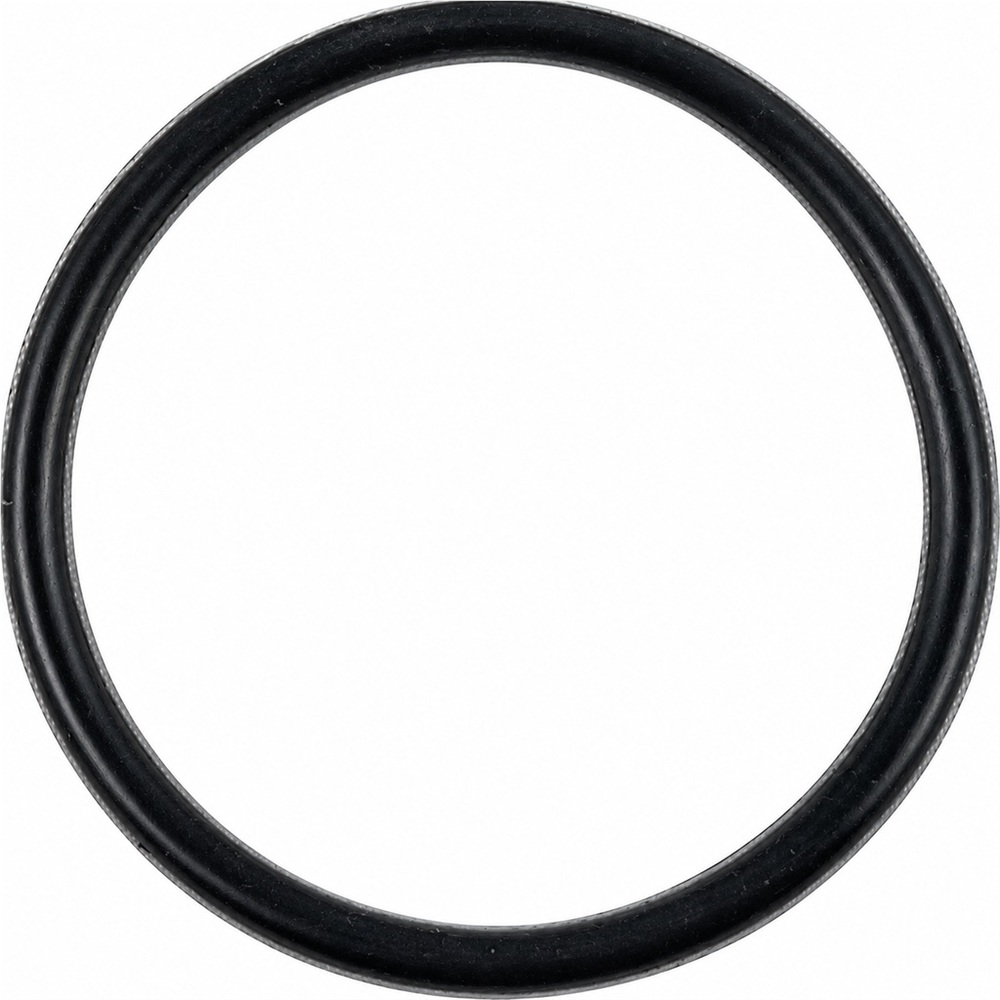 Oring 53.57x3.53 1