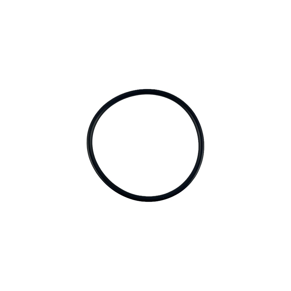 Oring filtra ssącego 2" 1
