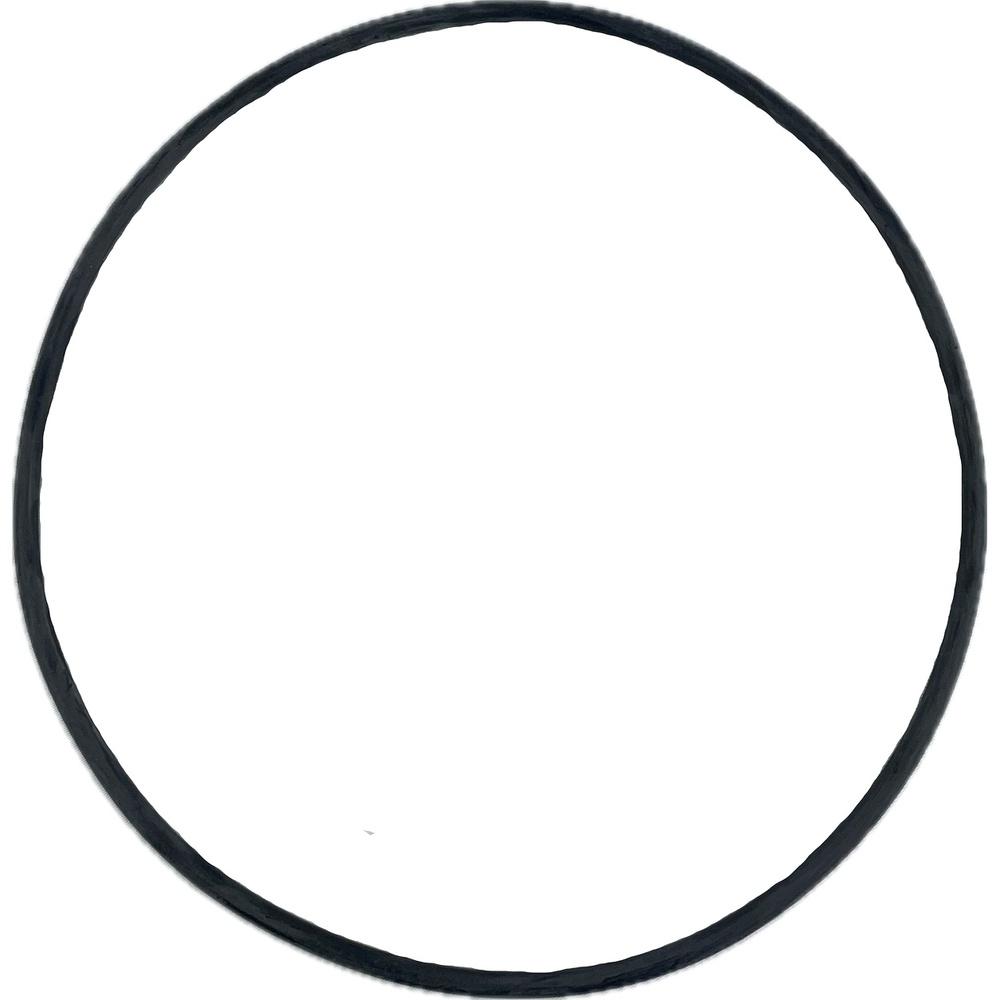 Oring 202.56x5.43 1