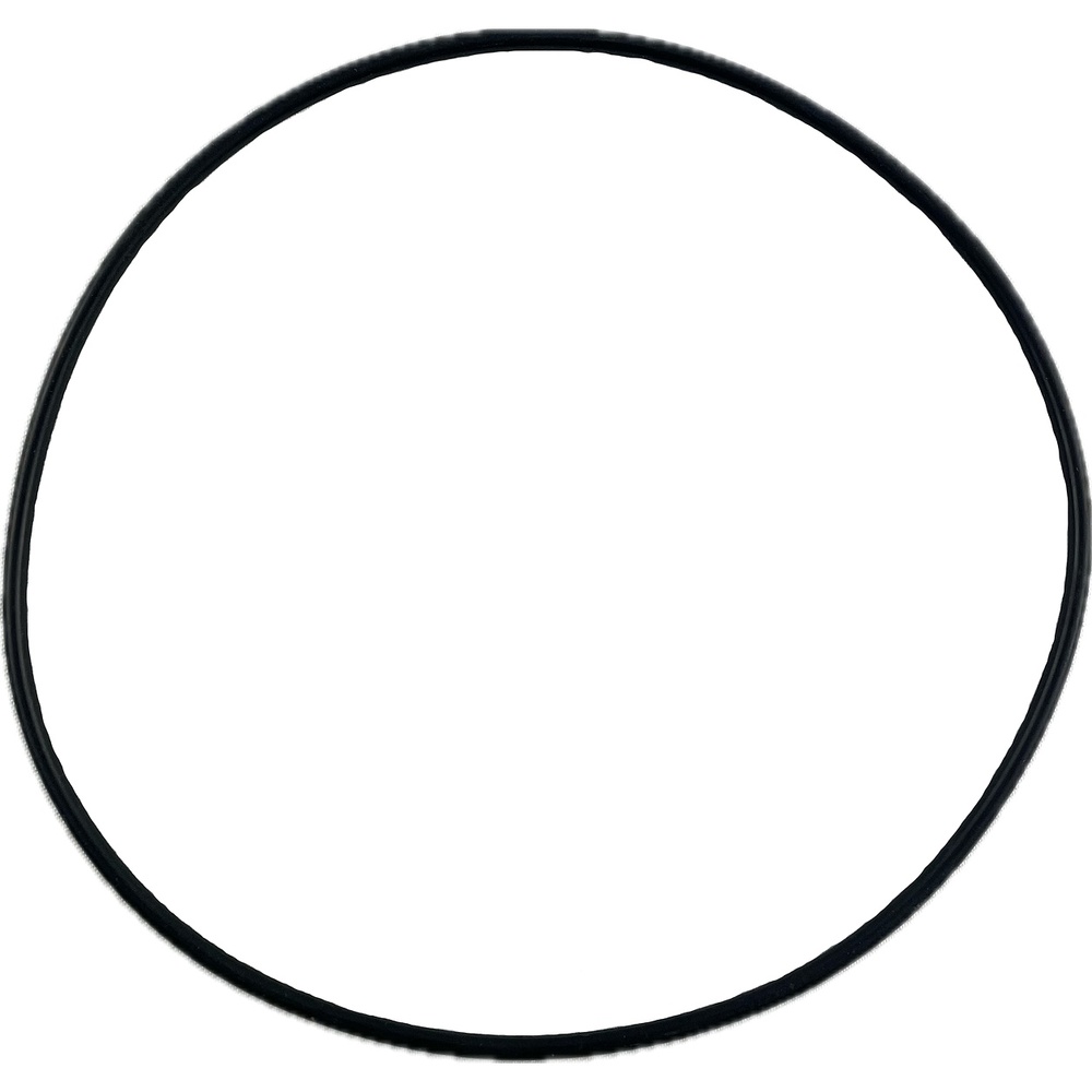 Oring 113.97x2.62 1