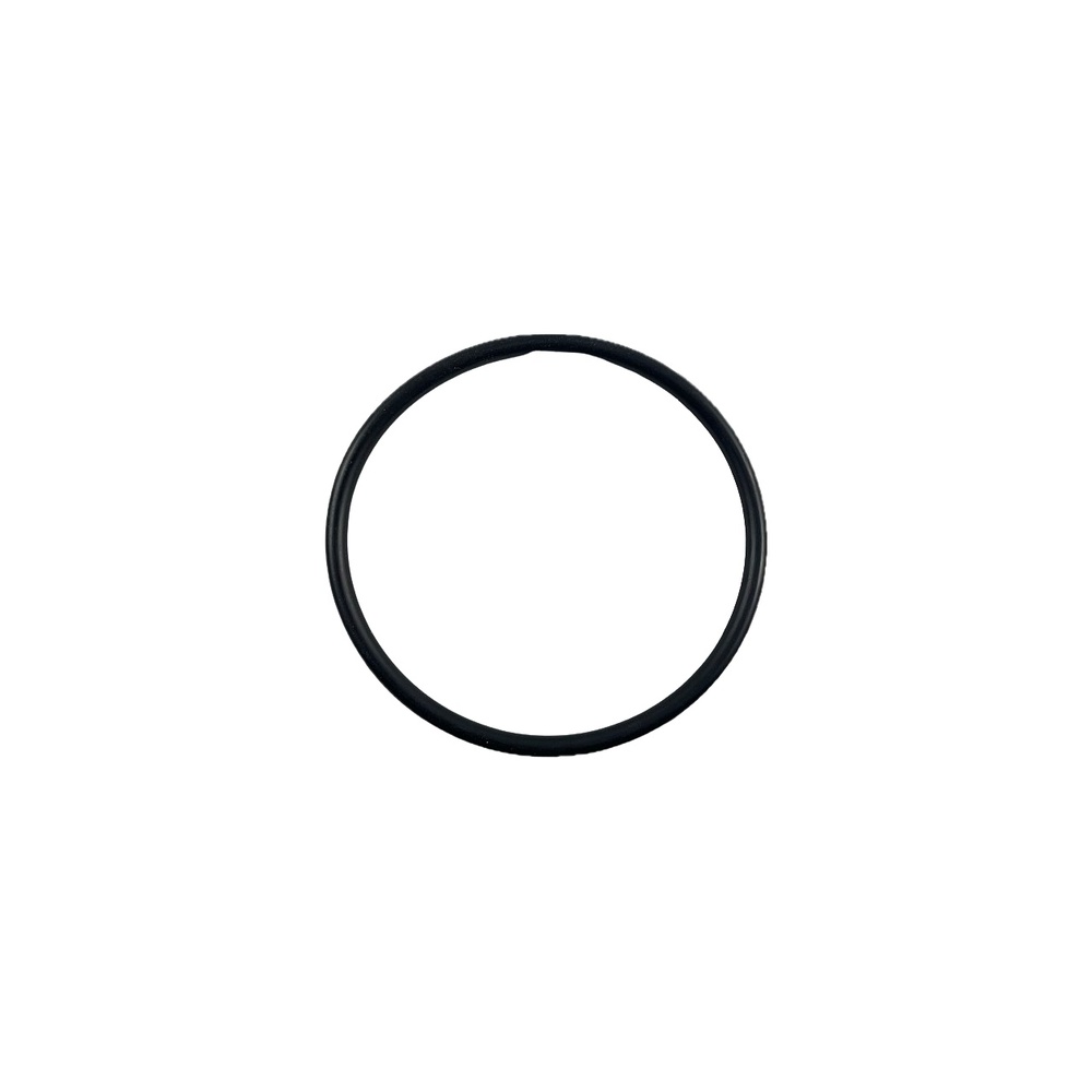 Oring 124.61x6.99 1