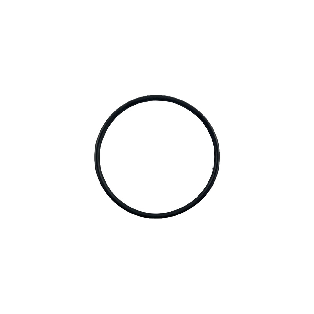 Oring 125x6 1