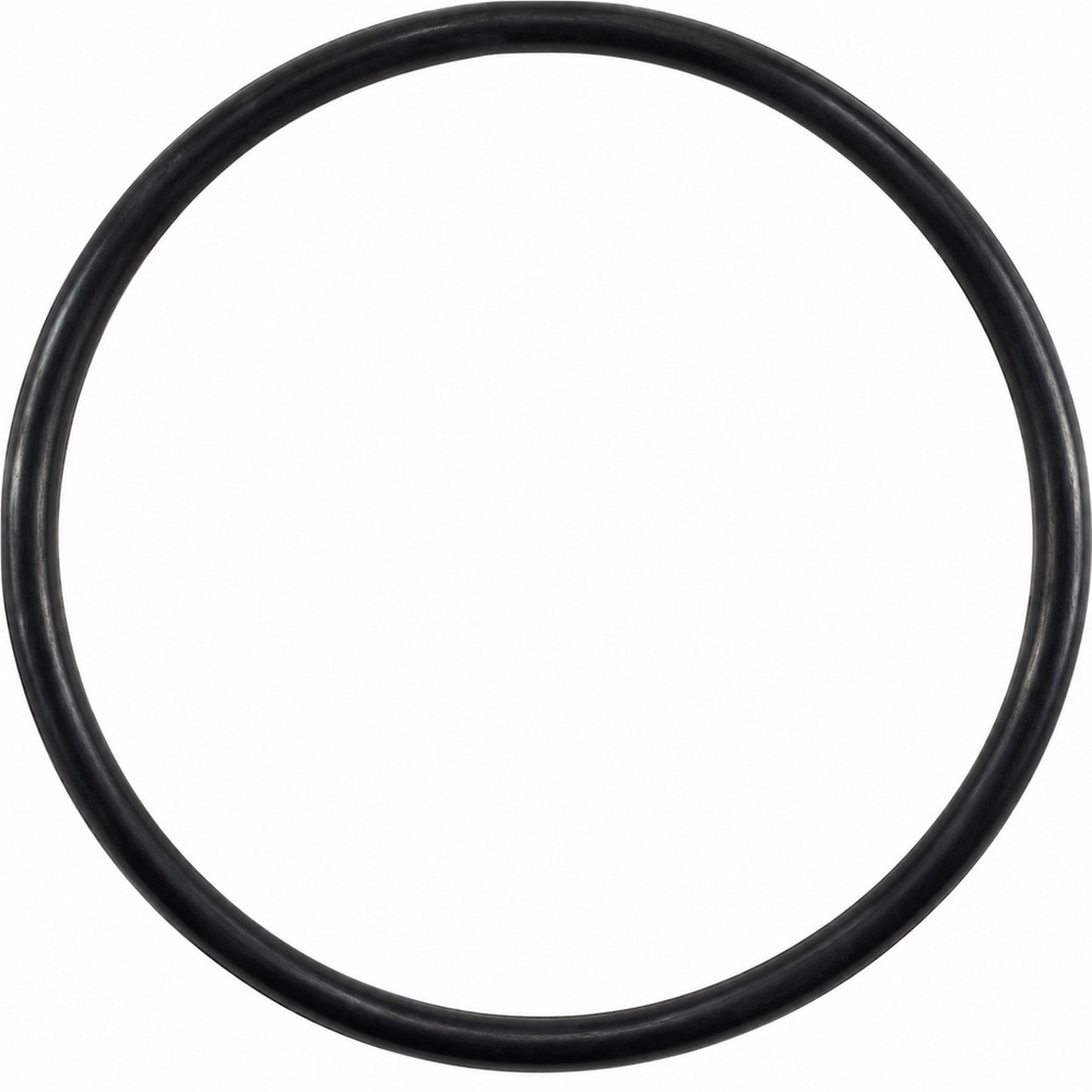 Oring do filtra ssącego 2" 125x7 1