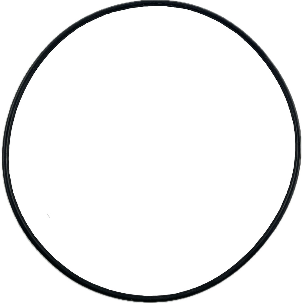 Oring 165x3.5 1