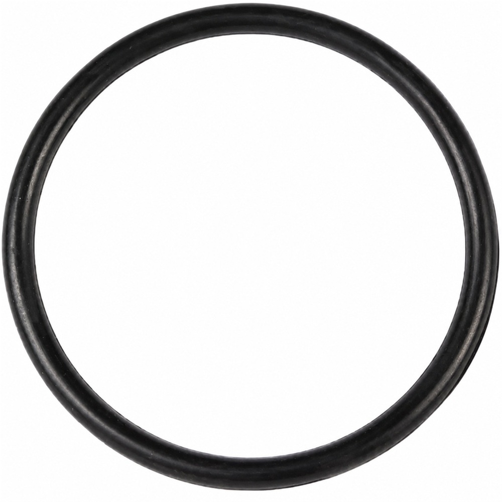 Oring 27.80x2.50 1