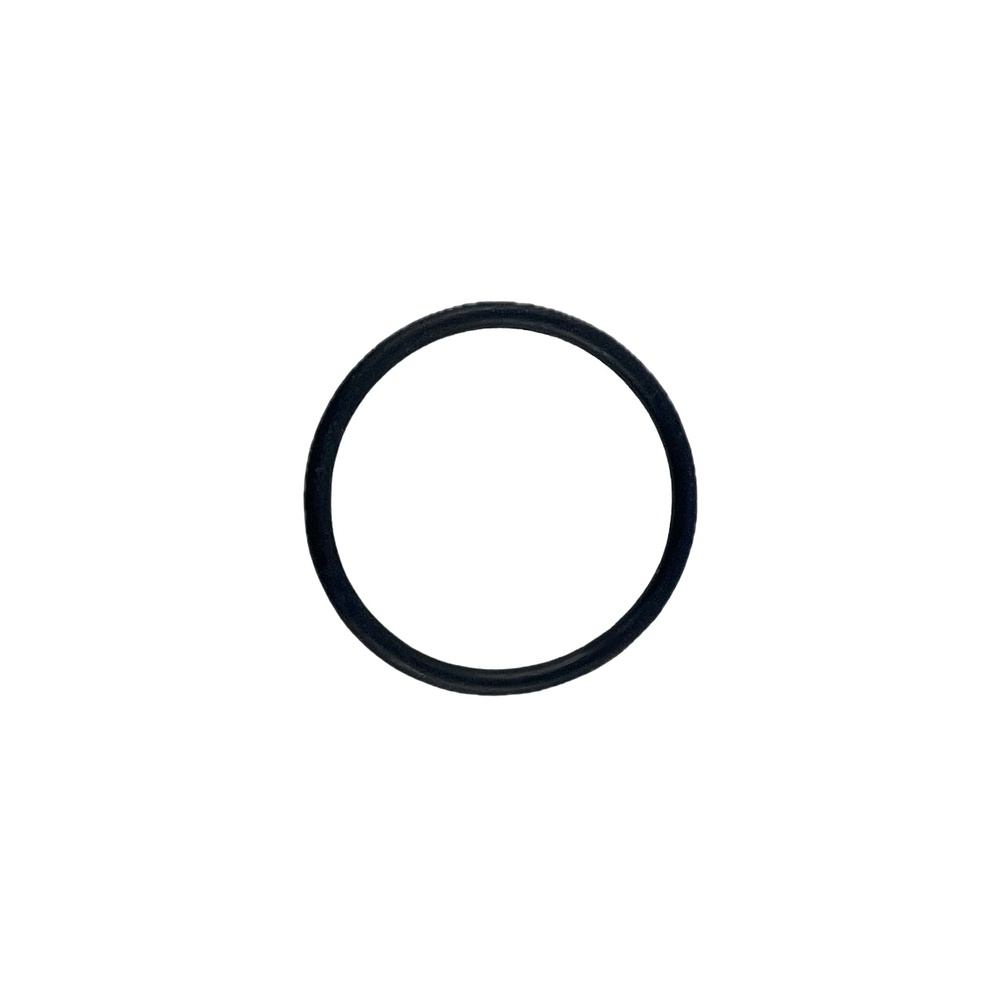 Oring 29x2.5 1