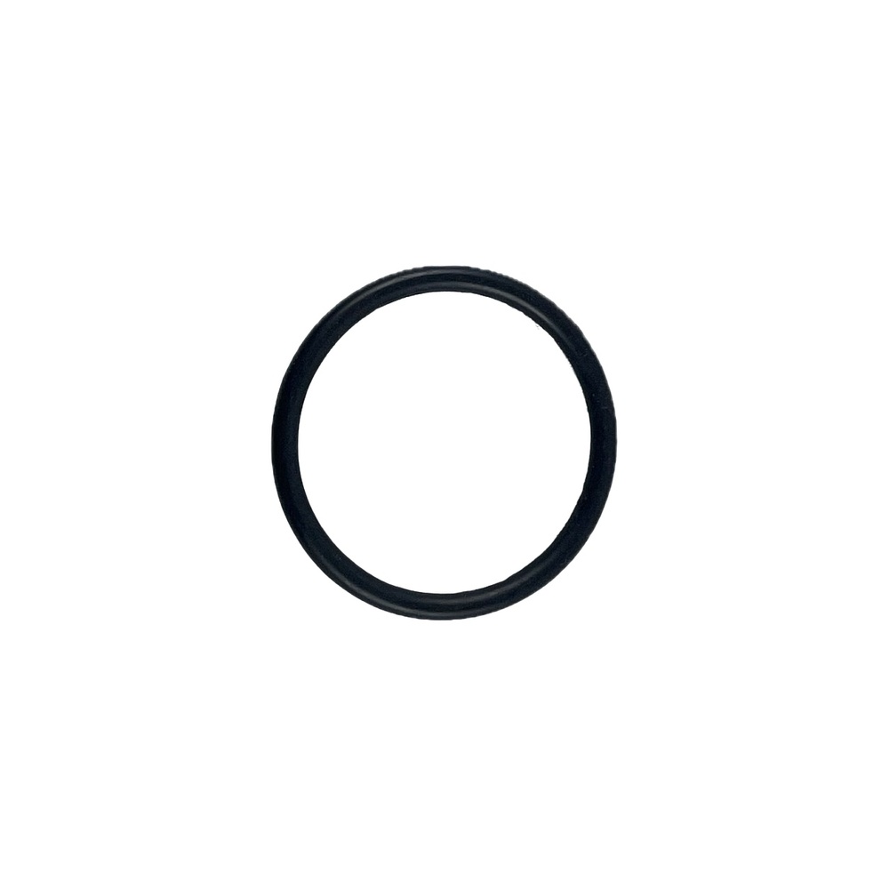 Oring 31x3 1
