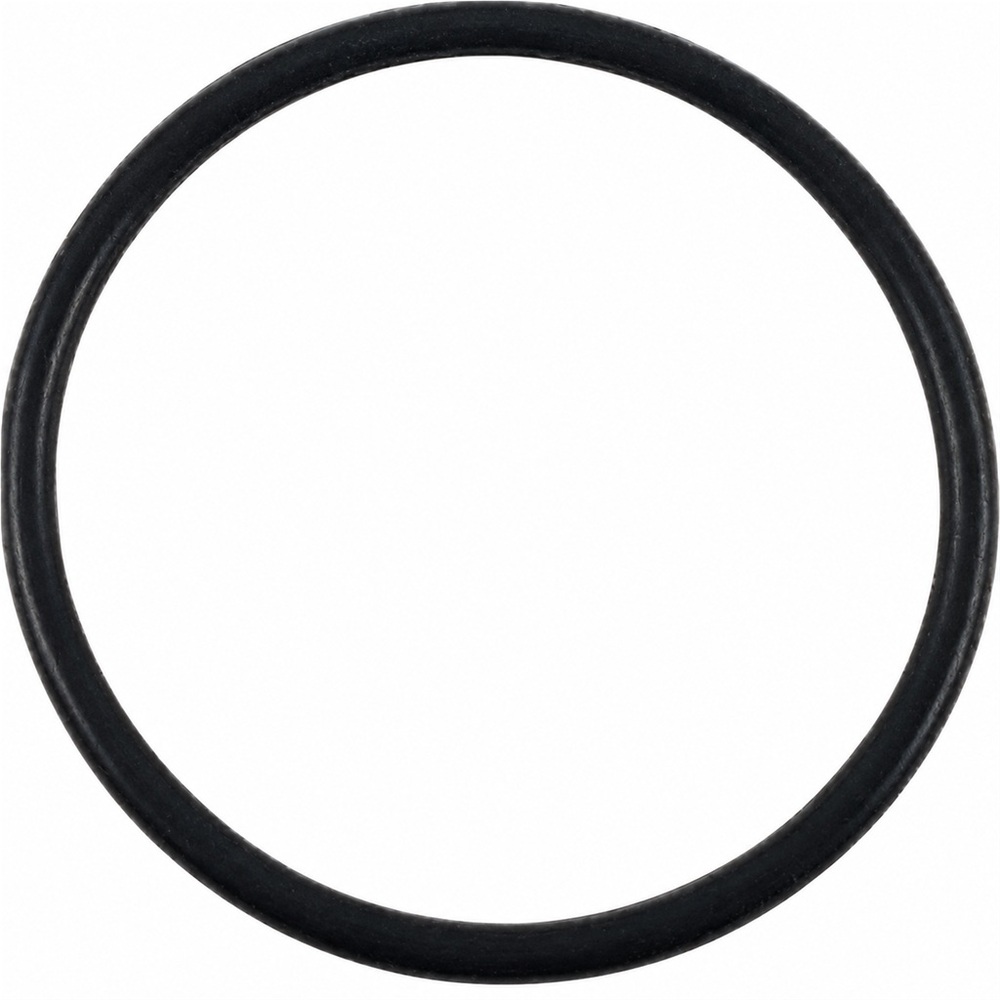 Oring między sekcje Arag Viton 39.34x2.62 1