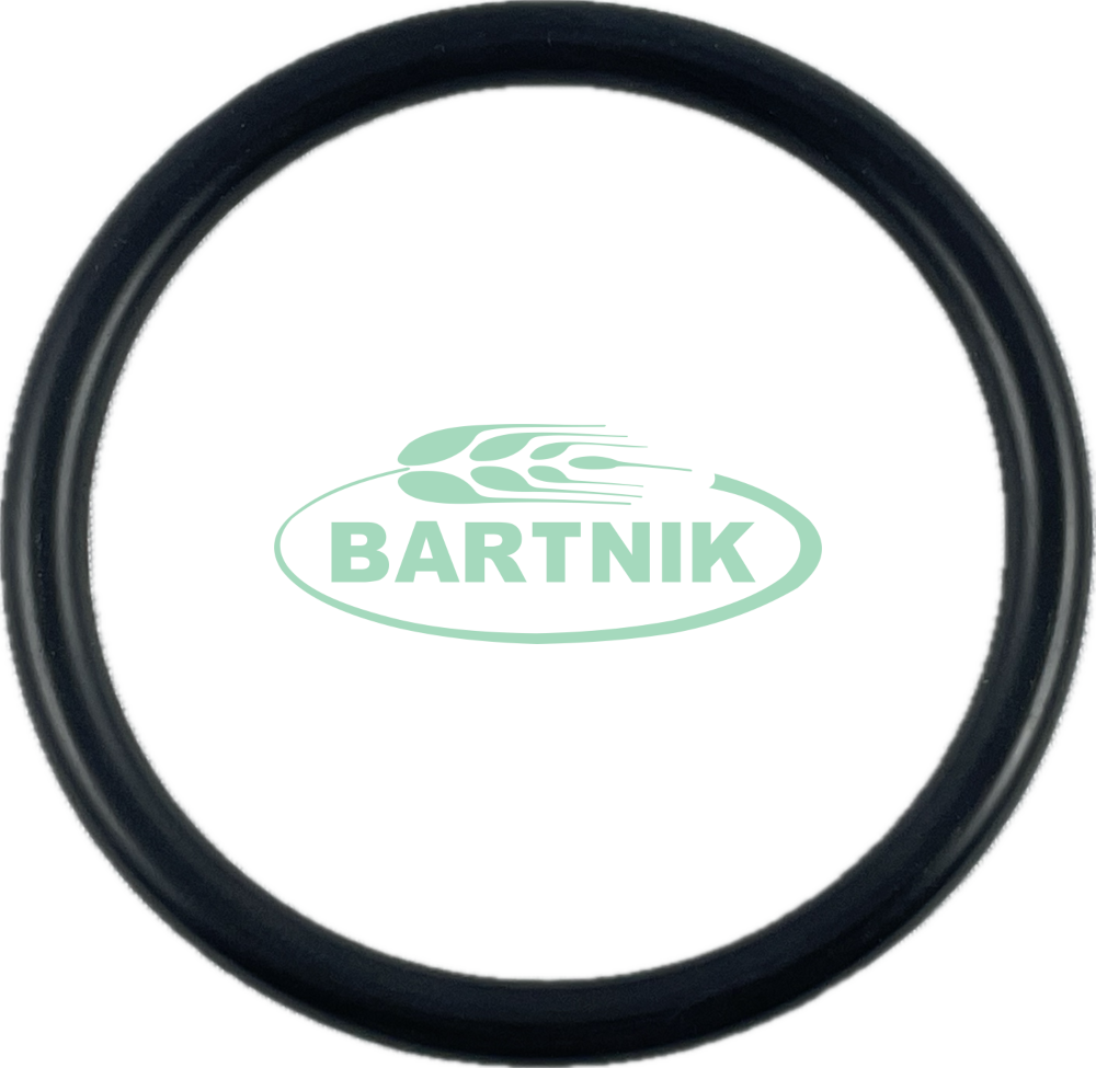 Oring 54.20x5.70 1