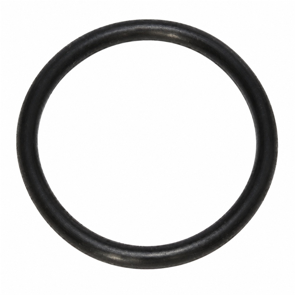 Oring 59.2x5.7 1