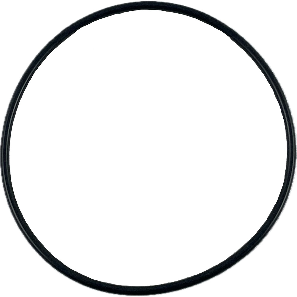 Oring 61x2 1