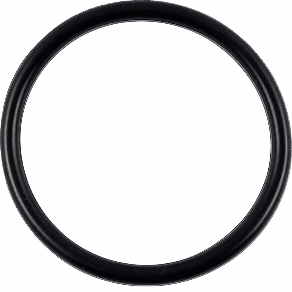 Oring 67.95x2.62 1