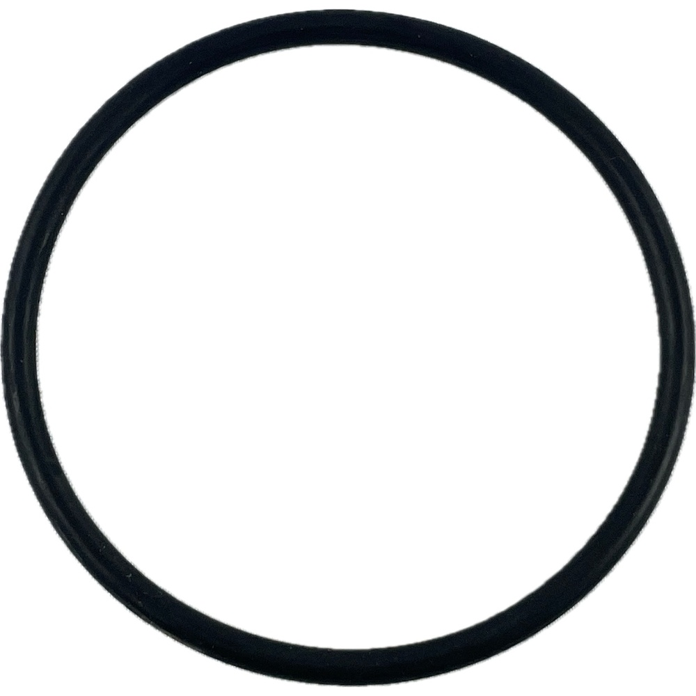 Oring do klosza RAU 1