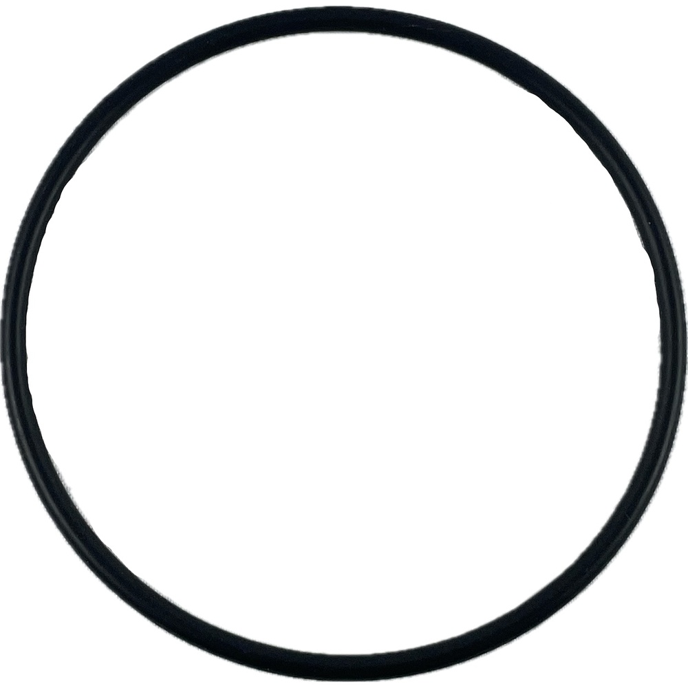Oring 73x3 1