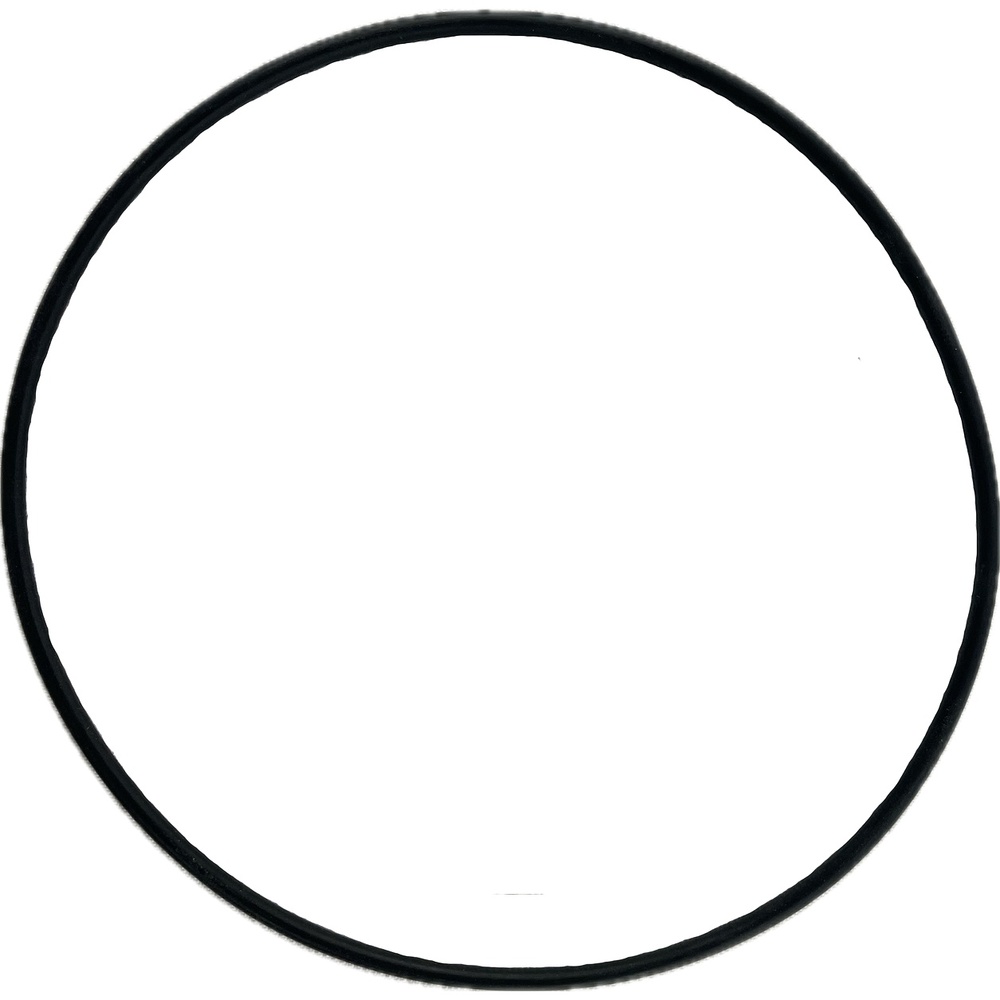 Oring 80x2 1