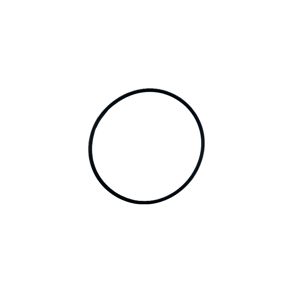 Oring 86x3 1