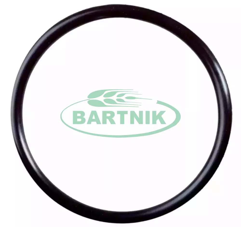 Oring 91.44x5.33 1