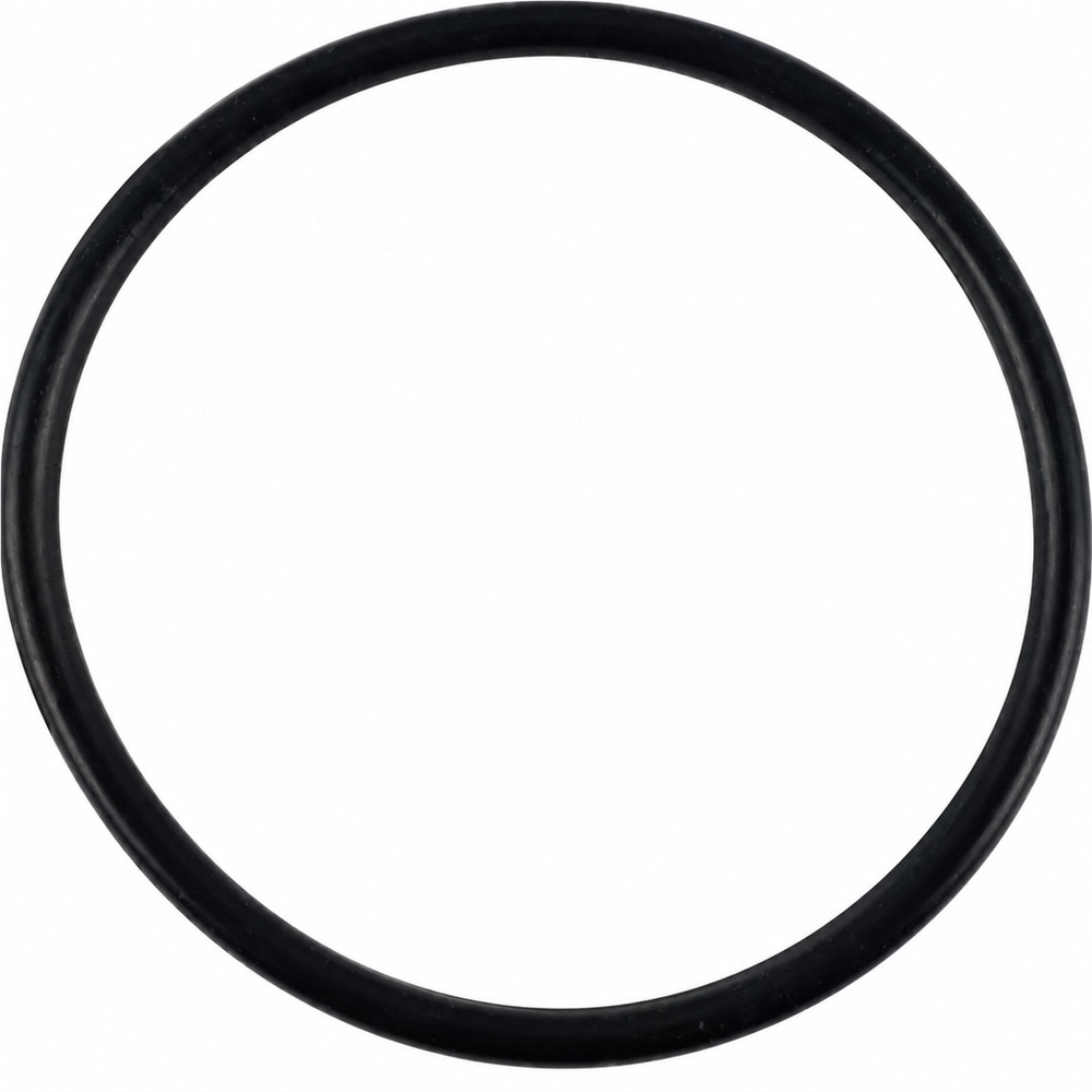 Oring 98.02x3.53 1