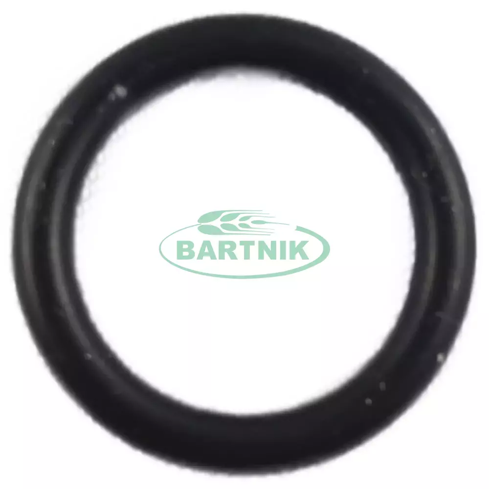 Oring 13.10x2.62 1