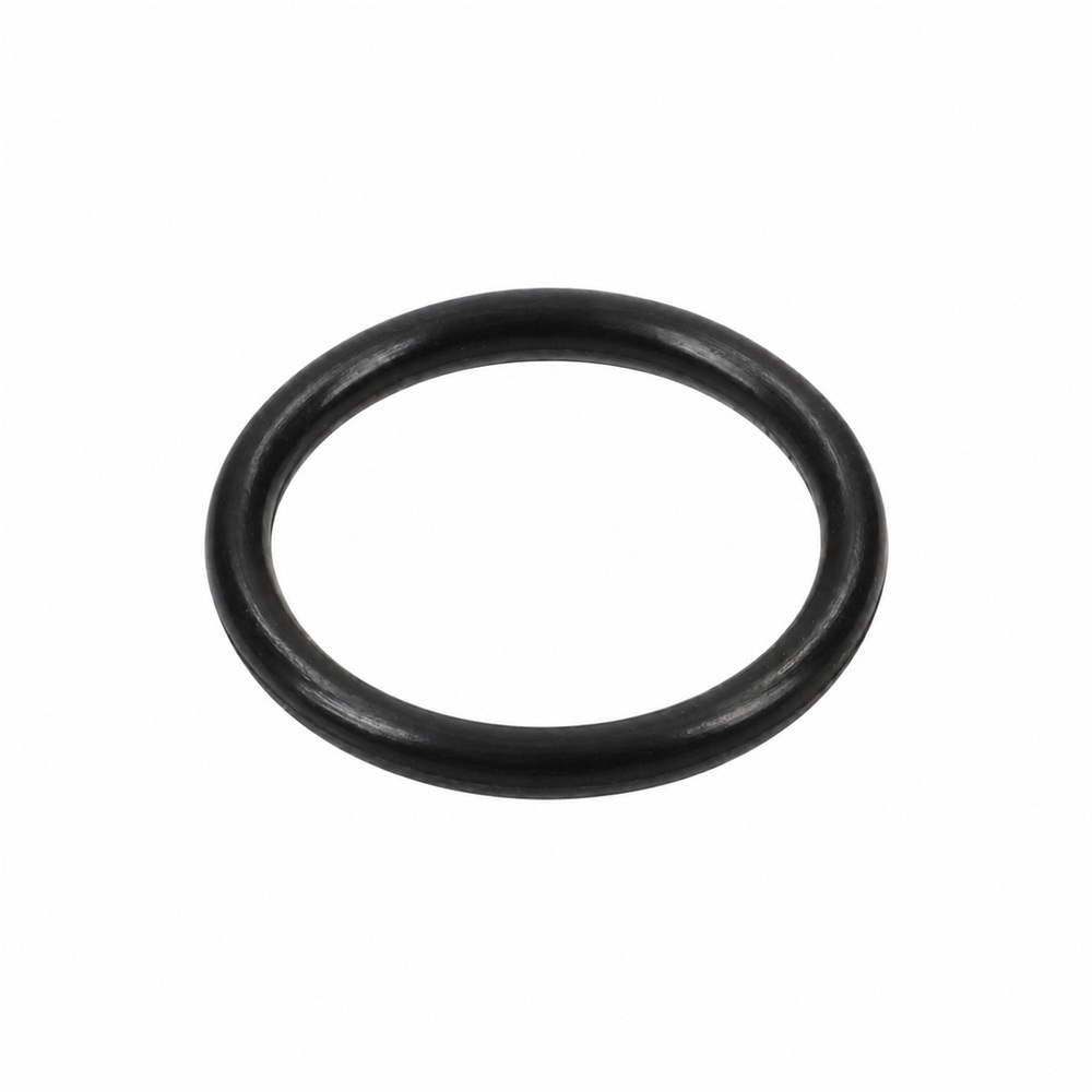 Oring pompy Kappa 125 1