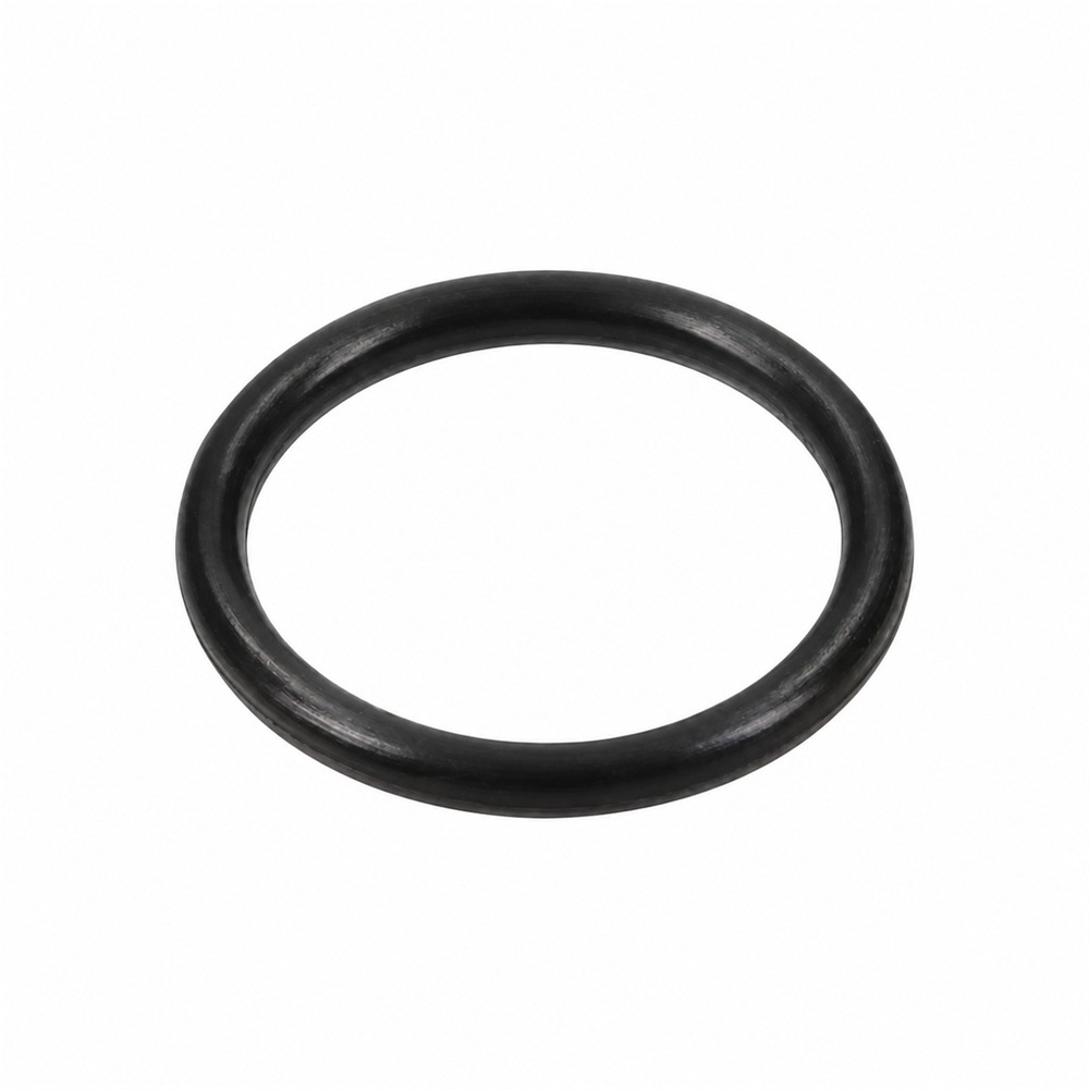 Oring pompy Kappa 125 1