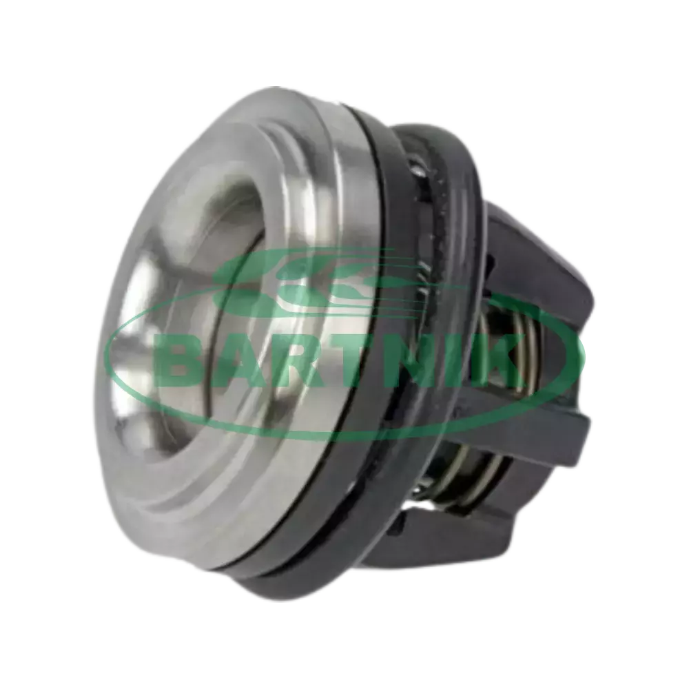 Zaworek pompy Annovi Reverberi 43133 1