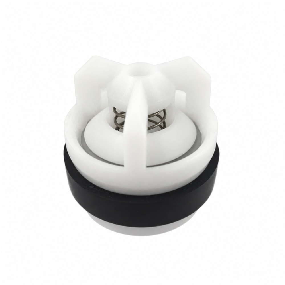 Zaworek pompy RAU 1