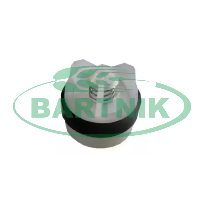 Zaworek pompy zamiennik RAU SP 1