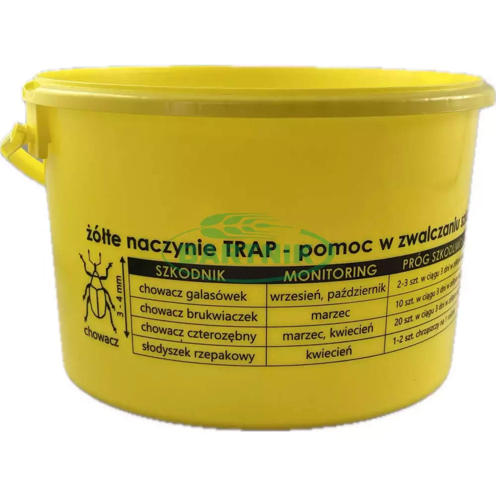 Żółte naczynie do rzepaku 1