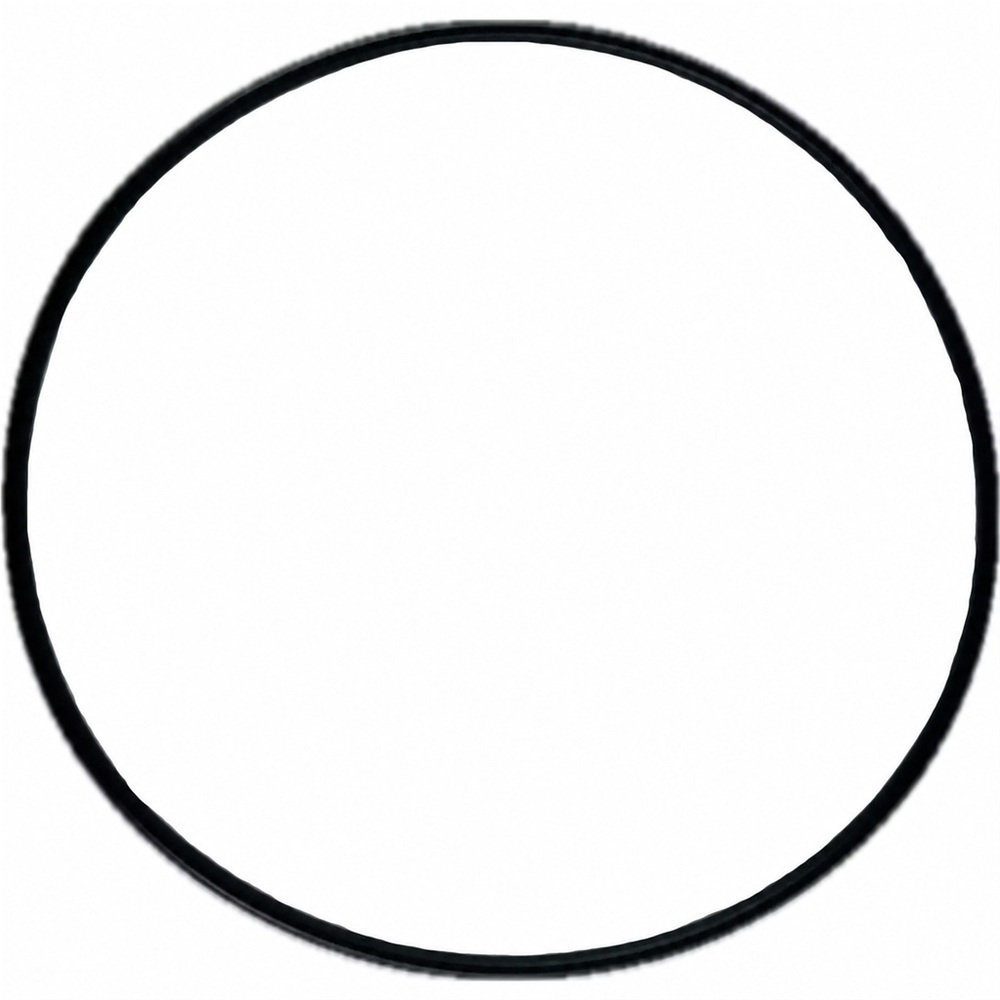 Oring 101.32x1.78 1