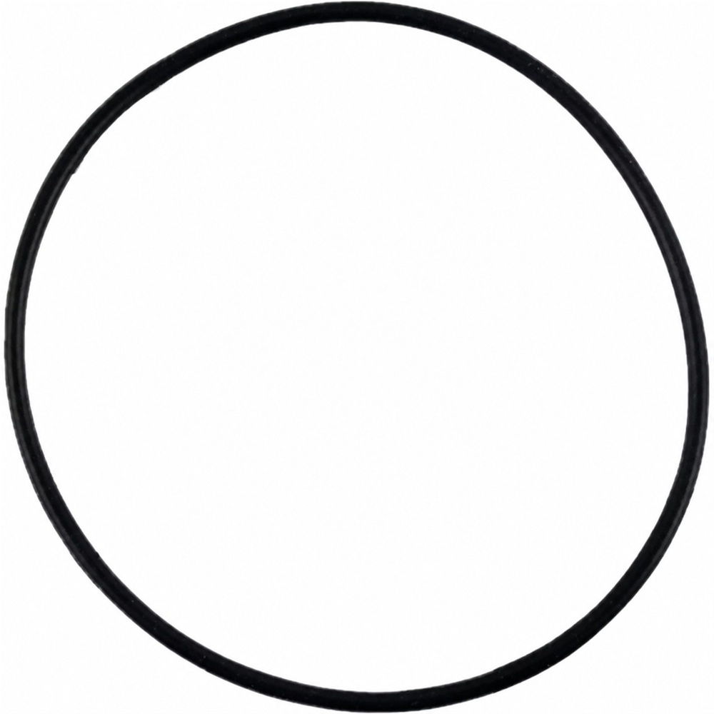 Oring 75.87x2.62 1