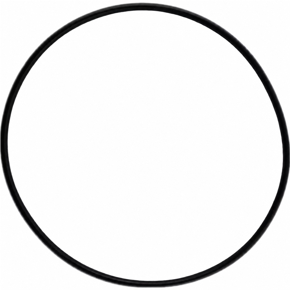Oring 75.92X1.78 1