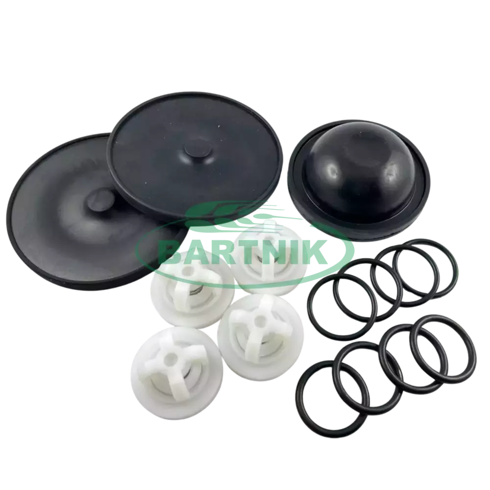 Zestaw naprawczy pompy Monsun P100 polowa 1